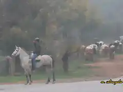 06, saludo a la Virgen 2, marca