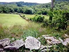 DSCN4335 DSCN4335