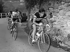 Eddy-Merckx-lombardia