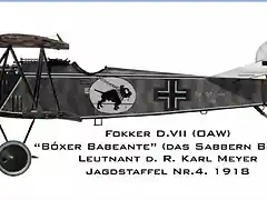 FOKKER D.VII CMeyer