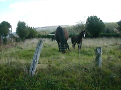 DSCN9235 DSCN9235