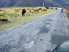 DSCN8612
