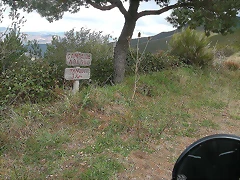Campa abedul octubre