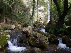 DSCN0492