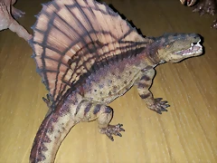 Dimetrodon Papo Dimetrodon Papo