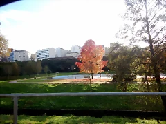 DSCN1768 DSCN1768