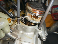 DSCN1450 DSCN1450