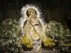 07, la virgen, marca2