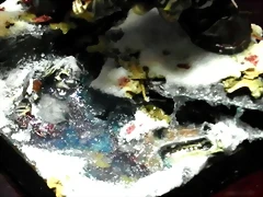 SAM_1515 SAM_1515
