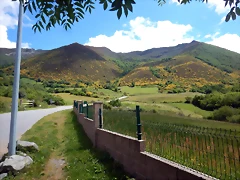 DSCN3140 DSCN3140