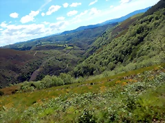 DSCN0816 DSCN0816