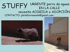 STUFFY Sevilla