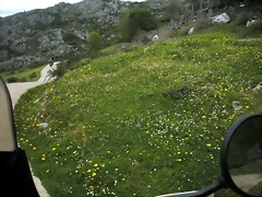 DSCN4640 DSCN4640