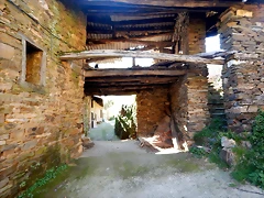 DSCN3925