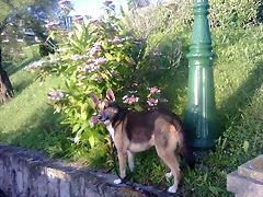 Foto0201
