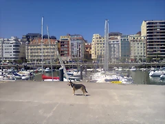 Foto0192