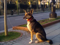 Foto0026