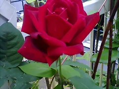 Foto0059