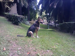 Foto0116