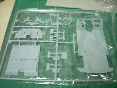 DSCN2618 DSCN2618