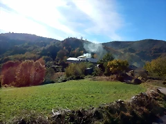 DSCN0017 DSCN0017