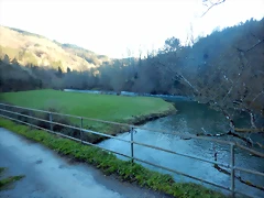 DSCN2645 DSCN2645