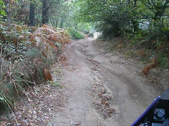DSCN8444 DSCN8444