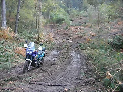 DSCN8451 DSCN8451
