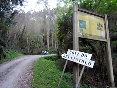 DSCN9667 DSCN9667