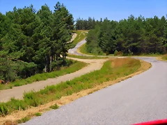 IMG_7689 IMG_7689