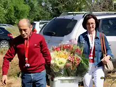 20, flores para la virgen, marca