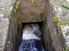 DSCN7314