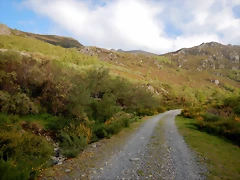 DSCN1418 DSCN1418