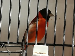 IMG_20170122_132232 IMG_20170122_132232