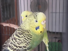 20170616_120603