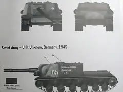 SDC10023