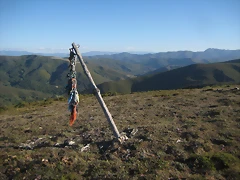 IMG_0845 IMG_0845