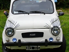 DSC_0261 DSC_0261