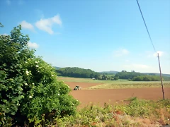 DSCN6164