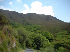 DSCN5983 DSCN5983