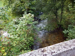 DSCN9263 DSCN9263