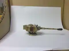 Tiger111