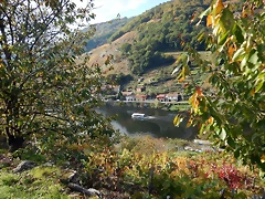 DSCN9816 DSCN9816