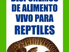 alimentovivo