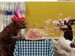 happy-birthday happy-birthday