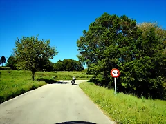 DSCN8951 DSCN8951