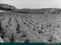 1954 55 trillo sanatorio leprol?gico 2 MONTE VENTORRO