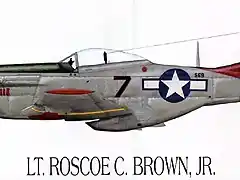 print_P-51D_R.Brown - Copy