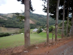 DSCN7140 DSCN7140