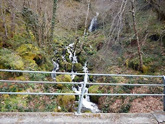 DSCN9165.JPEG DSCN9165.JPEG